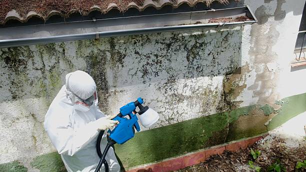 Top rated local Attic Mold Remediation specialists in Glenwood, MD